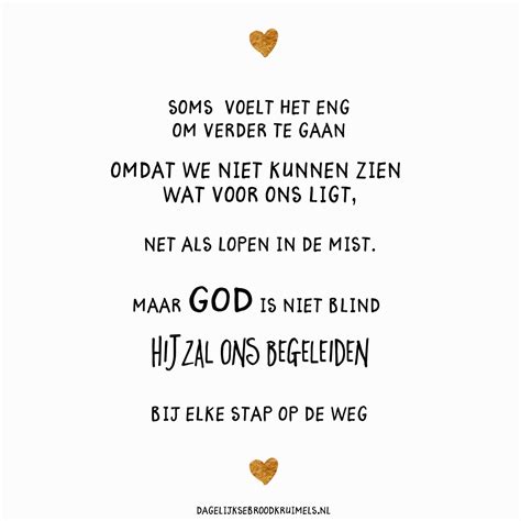 Ik zal zien 2025